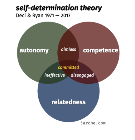 Applying Self-Determination Theory to Education